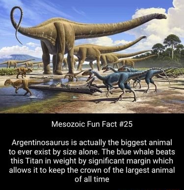 Mesozoic Fun Fact #25 Argentinosaurus is actually the biggest animal to ...