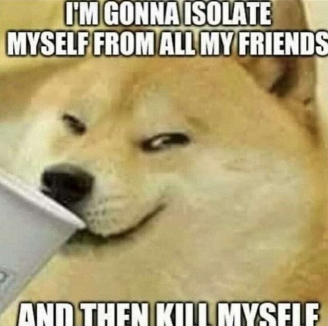 GOANA ISOLATE MYSELF FROM ALL MY FRIENDS ANT TUEN RET AIVSELE - iFunny