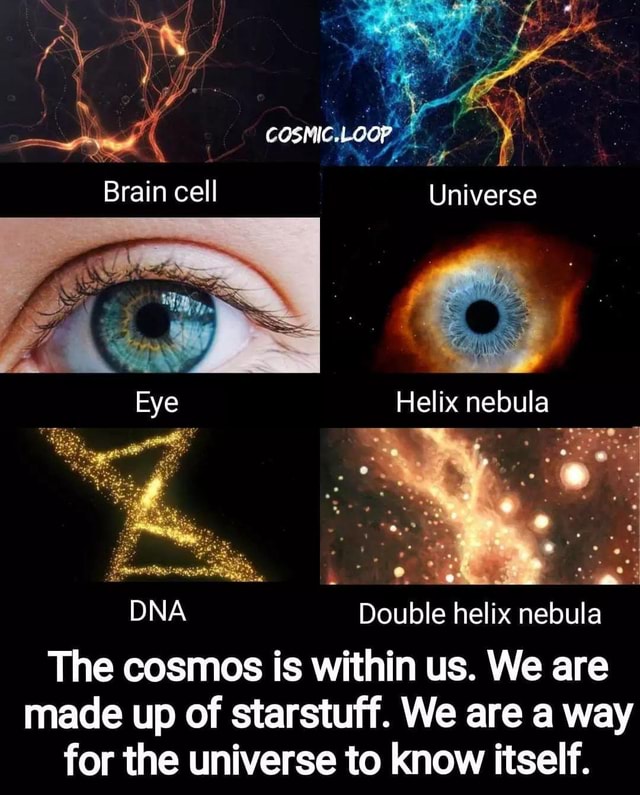 COSPIC LGOP Brain cell Universe Eye Helix nebula 'on DNA Double helix ...