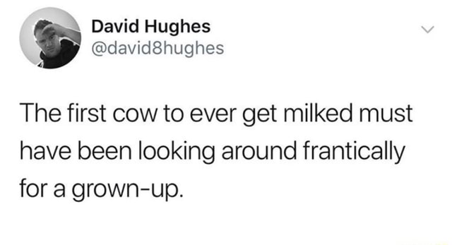 The first cow to ever get milked must have been looking around ...