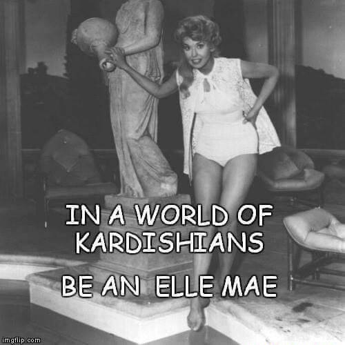 IN A WORLD OF KARDISHIANS BE AN ELLE MAE iFunny