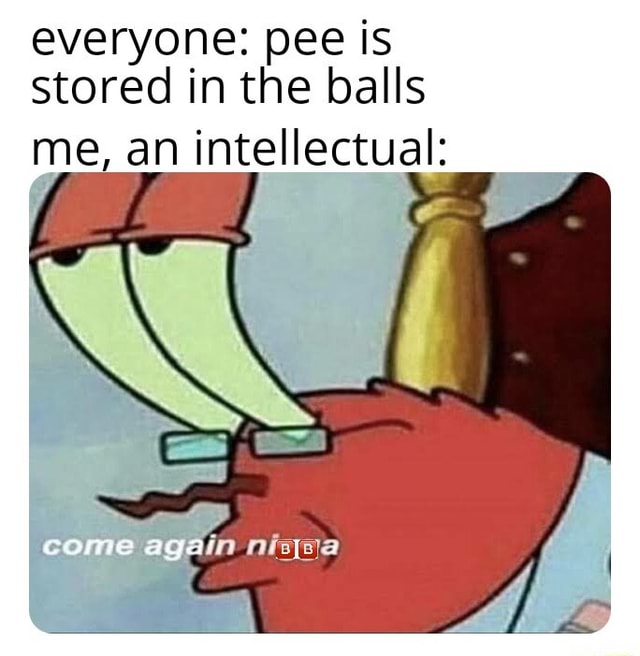 Everyone: pee is stored in the balls me, an intellectual: - iFunny