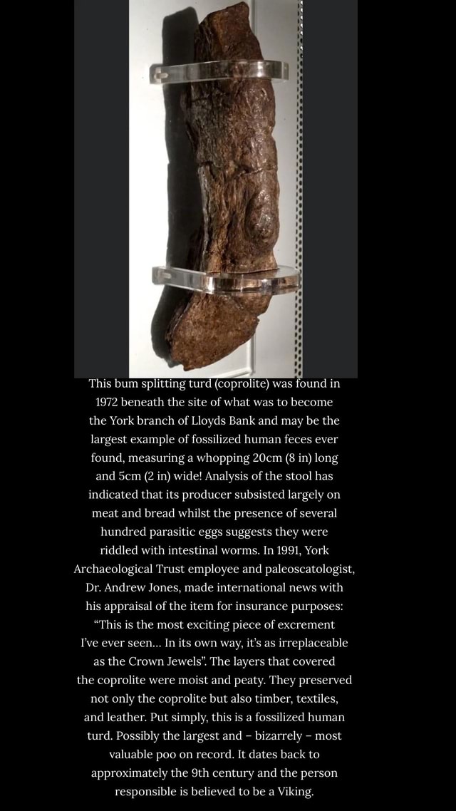 This bum splitting turd (coprolite) was found in 1972 beneath the site