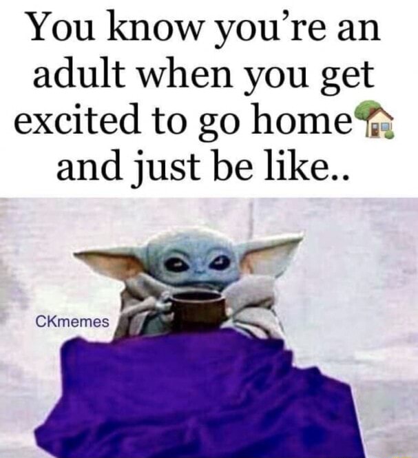 You Know Youre An Adult When You Get Excited To Go Home And Just Be Like Ifunny 9302