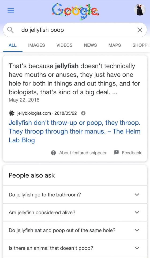 Ill Q. do jellyfish poop ALL IMAGES VIDEOS NEWS MAPS SHOP That's ...