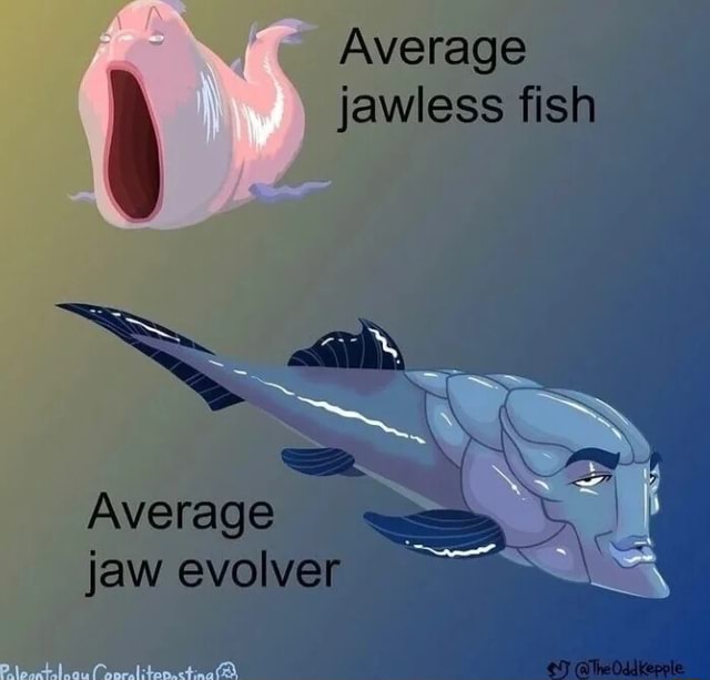 Jawiess fish Average Average jaw evolver - iFunny