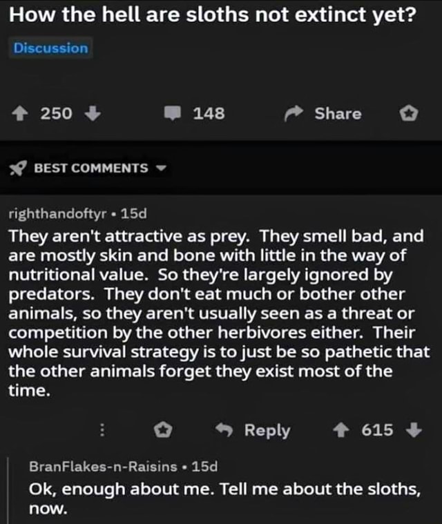 How the hell are sloths not extinct yet? righthandoftyr - 15d They aren