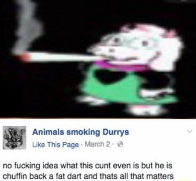 Animals smoking Durrys Like This Page no fucking idea what this cunt even  is but he is chuffin back a fat dart and thats all that matters 