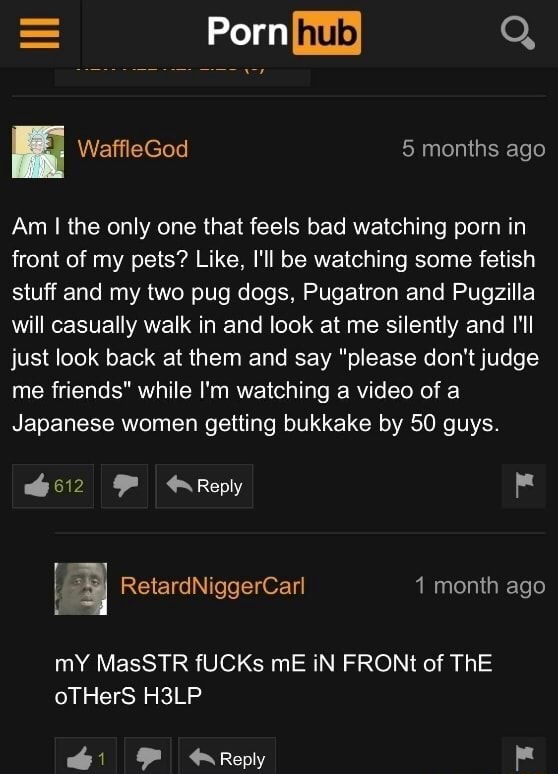 558px x 774px - Am I the only one that feels bad watching porn in front of my pets? Like,  I'll be watching some fetish stuff and my two pug dogs, Pugatron and  Pugzilla will casually