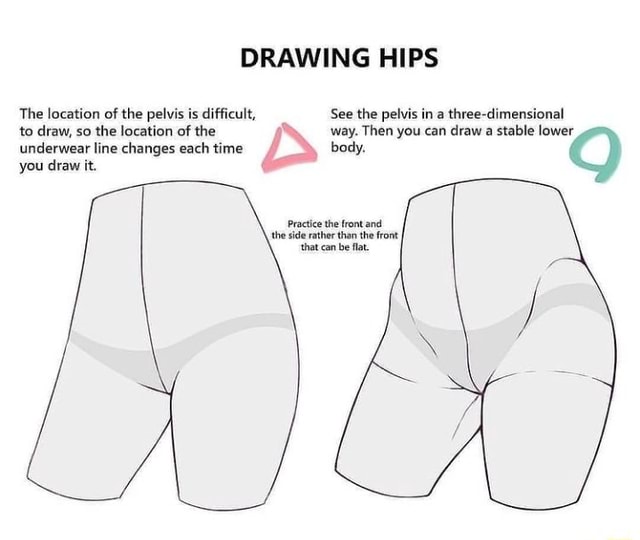 DRAWING HIPS The location of the pelvis is difficult, See the pelvis in