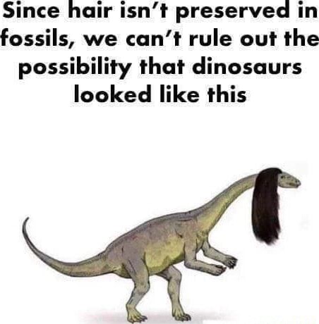 Since hair isn't preserved in fossils, we can't rule out the ...