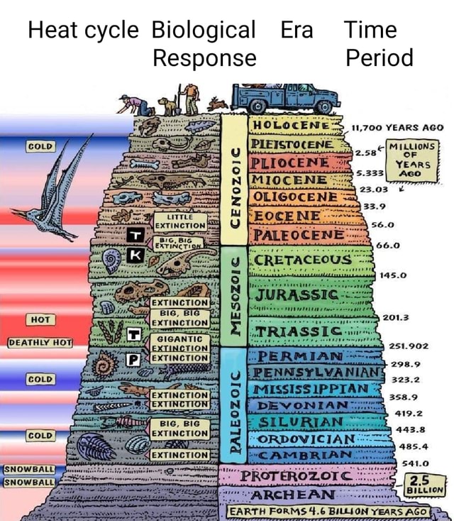 Heat cycle Biological Era Time Response Period YEARS MIOCENE OLIGOCENE ...