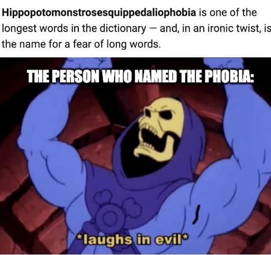 Ippopotomonstrosesquippedaliophobia is one of the longest words in the