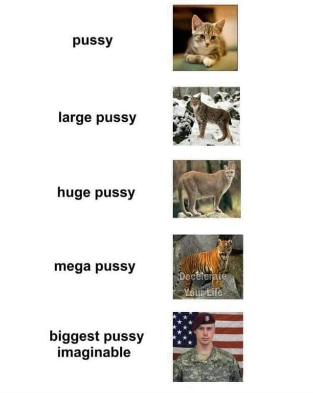 Pussy Large Pussy Huge Pussy Mega Pussy Biggest Pussy Imaginable Americas Best Pics And Videos