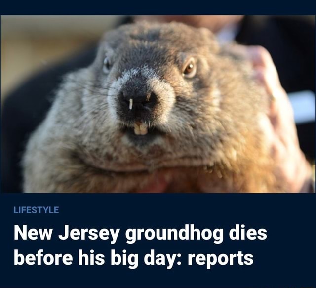 what happens on groundhog day if the groundhog dies