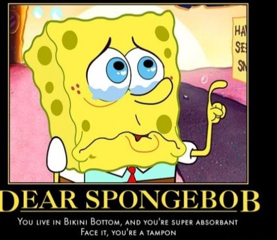 I a DEAR SPONGEBOB You uve IN Bikin! BOTTOM, AND YOU'RE SUPER ABSORBANT ...