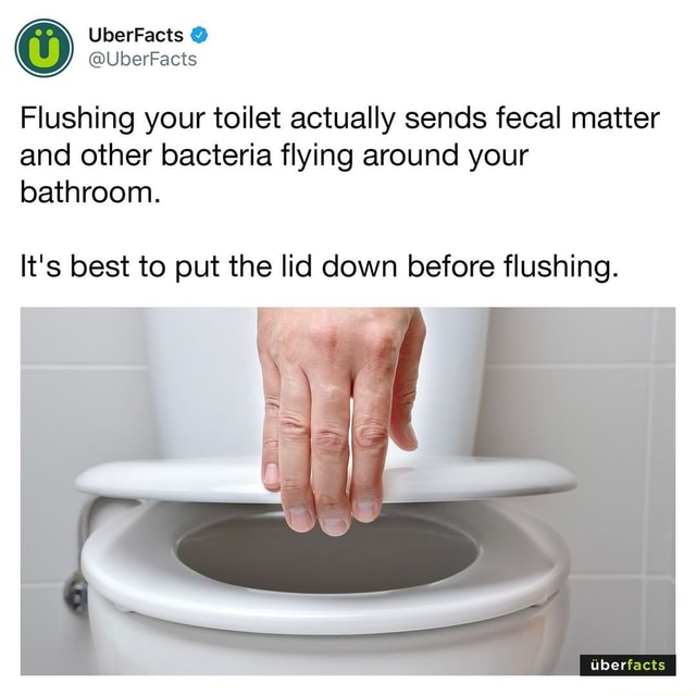 UberFacts @UberFacts Flushing your toilet actually sends fecal matter ...