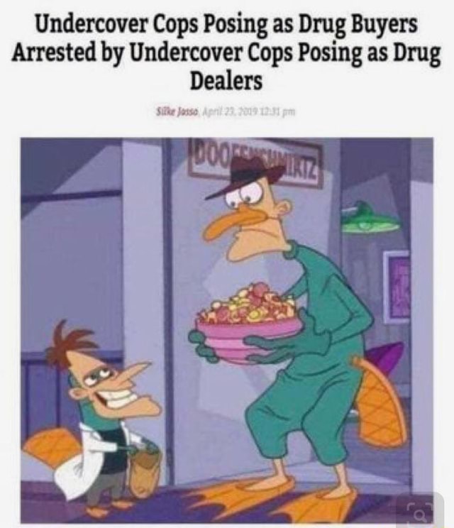 Undercover Cops Posing As Drug Buyers Ifunny 