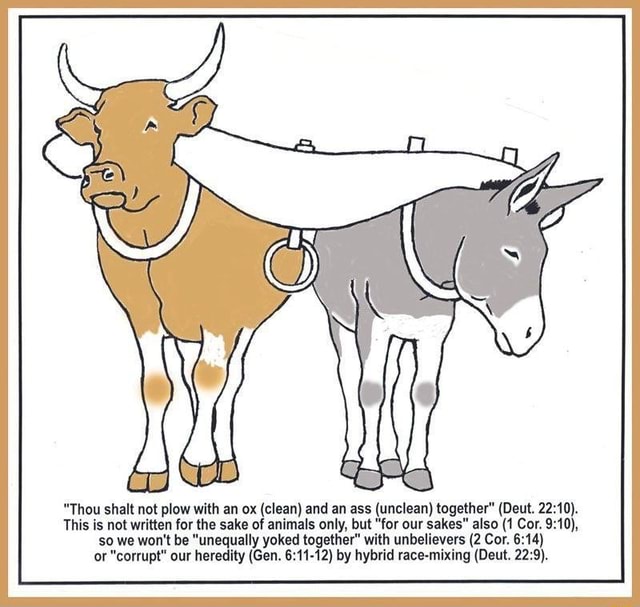 AW "Thou shalt not plow with an ox (clean) and an ass (unclean