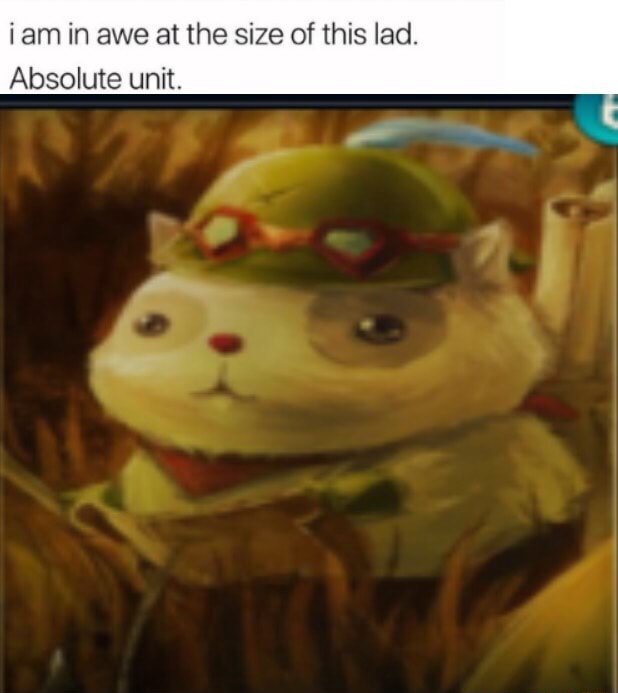 I am in awe at the size of this lad. Absolute unit. - iFunny