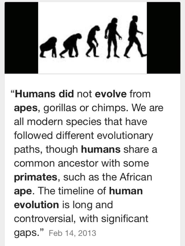 “Humans did not evolve from apes, gorillas or Chimps. We are all modern ...