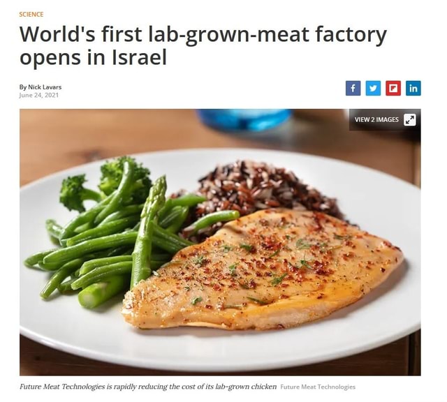 Israel Lab Meat SCIENCE World's first lab-grown-meat factory opens in Israel By Nick ...