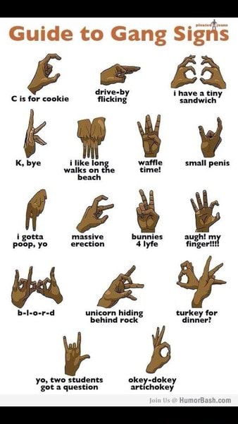 SS Guide to Gang Signs 
