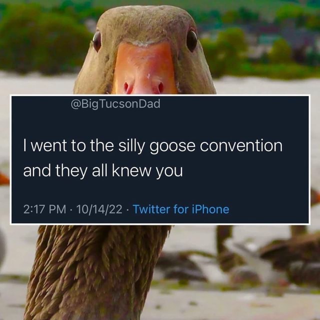 I went to the silly goose convention and they all knew you PM ...