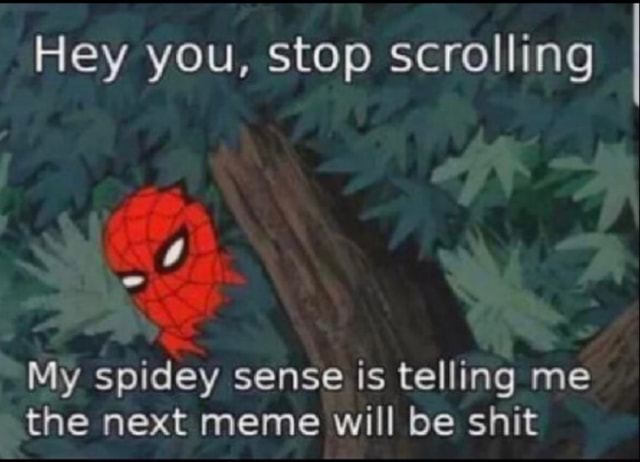 Hey you, stop scrolling My spidey sense is telling me the next meme will be shit - iFunny :)