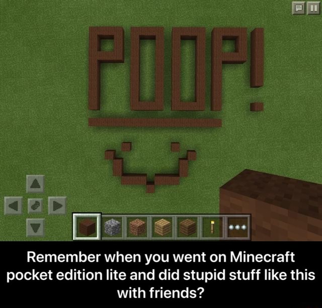 Minecraft Pocket Edition= OG Minecraft Pocket Edition Lite= Really OG Minecraft  Pocket Edition Demo= Veteran - iFunny