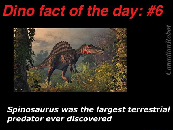 Spinosaurus was the largest terrestrial predator ever discovered - )