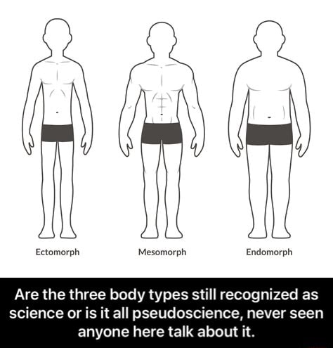 Ectomorph Mesomorph Endomorph Are The Three Body Types Still Recognized ...