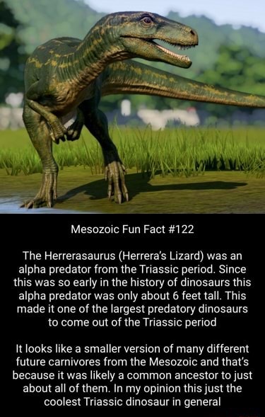 Mesozoic Fun Fact #122 The Herrerasaurus (Herrera's Lizard) was an ...