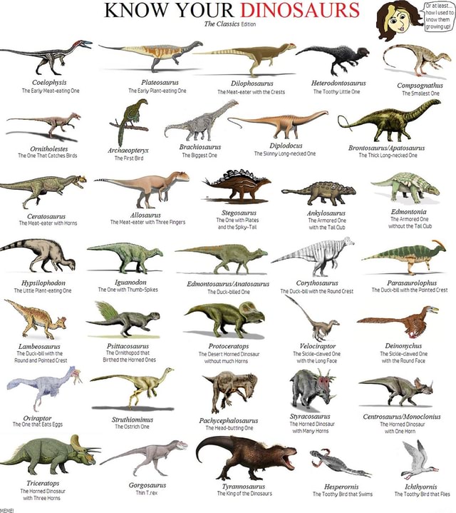 KNOW YOUR DINOSAURS The Classics Edition Coelophysis Plateosaurus ...