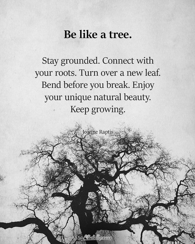 Be Like A Tree Stay Grounded Connect With Your Roots Turn Over A New Leaf Bend Before You 7071