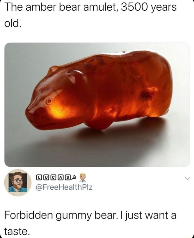 ~The amber bear amulet, 3500 years old. Forbidden gummy bear. I just ...