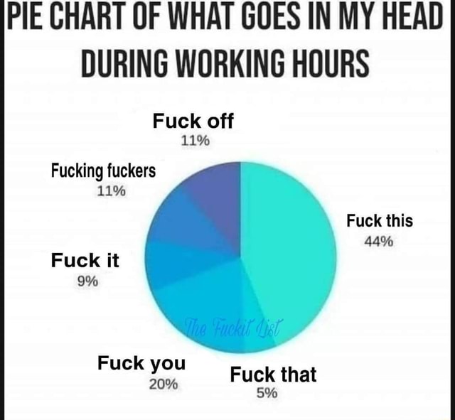 pie-chart-of-what-goes-in-my-head-during-working-hours-fuck-off-fucking