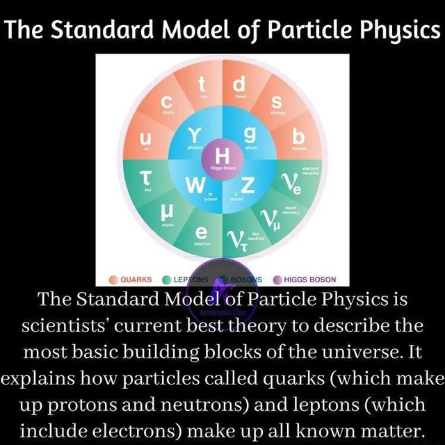 The Standard Model of Particle Physics The Standard Model of Particle ...