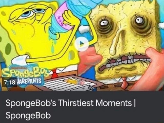 SpongeBob's Thirstiest Moments I SpongeBob - iFunny