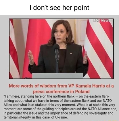 I don't see her point More words of wisdom from VP Kamala Harris at a