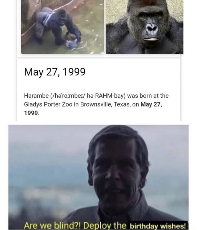 May 27,1999 Harambe ha-RAHM-bay) was born at the Gladys Porter Zoo in ...