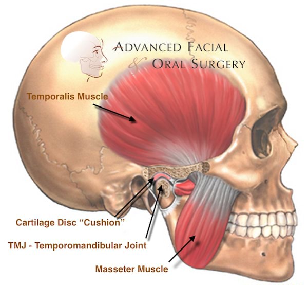 what-is-tmj-tmj-stands-for-a-big-word-temporomandibular-joint-this