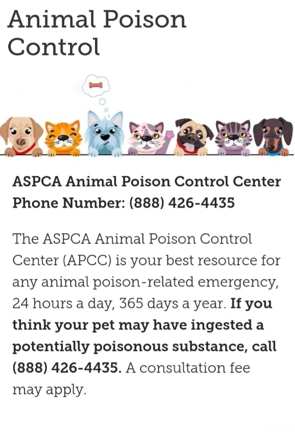 Animal Poison Control ASPCA Animal Poison Control Center Phone Number ...