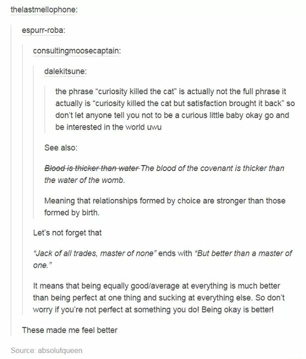 The Phmse Curiosity Kiﬂed He Cal Is Actually Not The Fu Phrase Actually Is Curiosity Kmed The Cat But Saﬁsfacﬁon Brºught 1 Back So Don T Let Anyone Tell You Not To