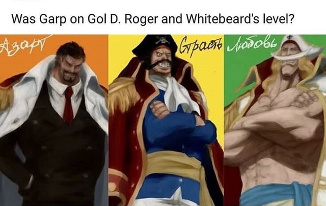 Was Garp On Gol D Roger And Whitebeard S Level