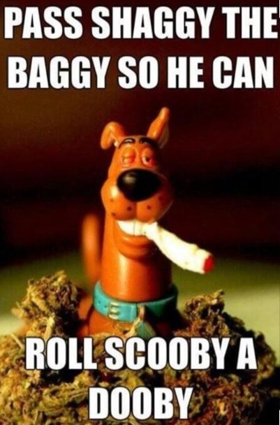 PASS SHAGGY THE BAGGY SO HE CAN ROLL SCOOBY DOOBY - iFunny