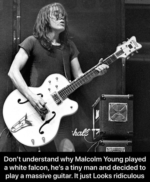 malcolm young white falcon