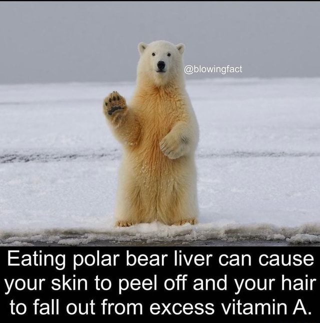 Eating polar bear liver can cause your skin to peel off and your hair