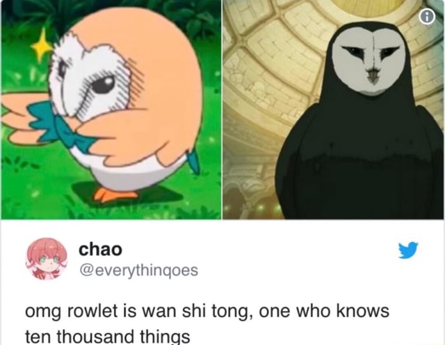 Omg Rowlet Is Wan Shi Tong One Who Knows Ten Thousand Things