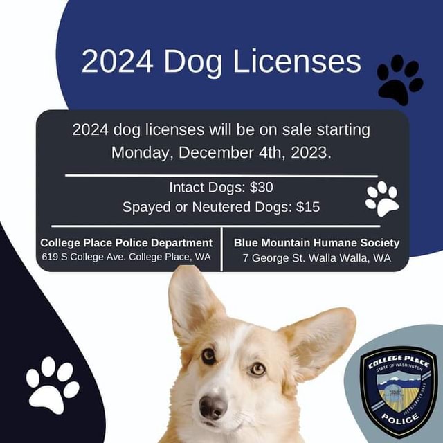 2024 Dog Licenses 2024 dog licenses will be on sale starting Monday